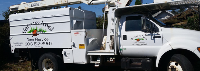 Tree Service Lincoln City