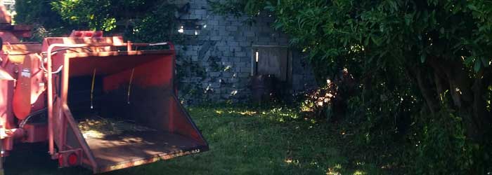 Tree Service Lincoln City